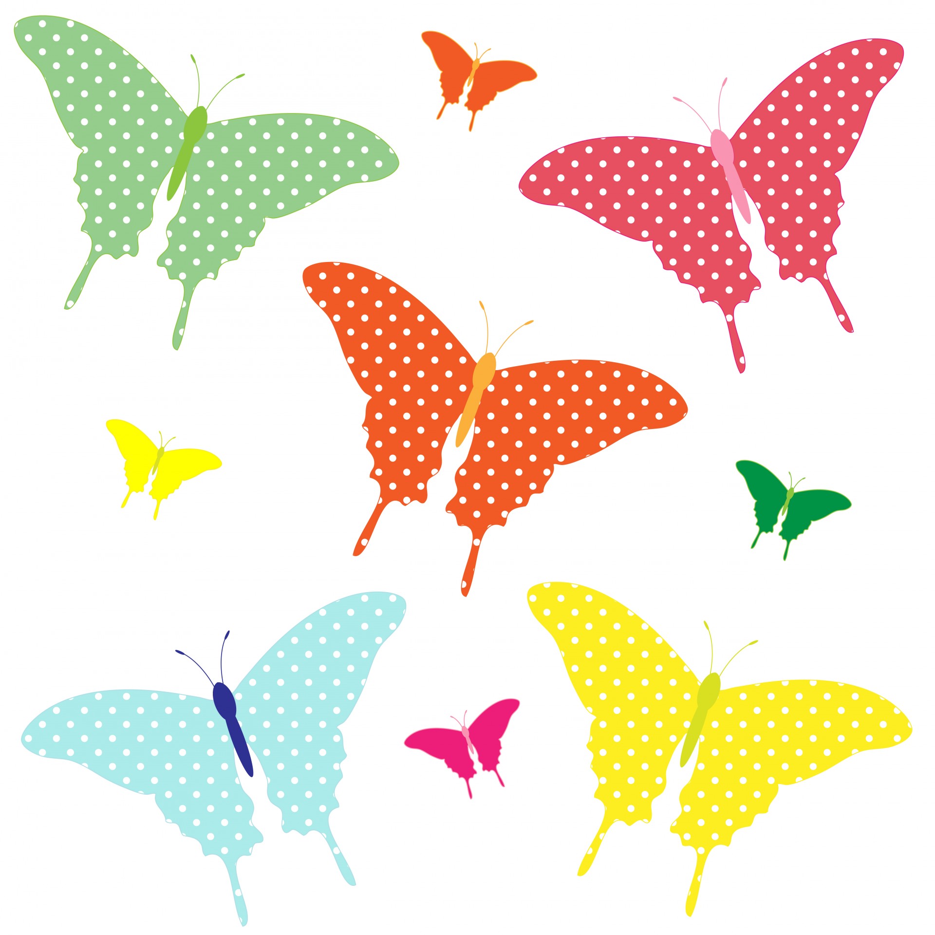 butterfly butterflies art free photo