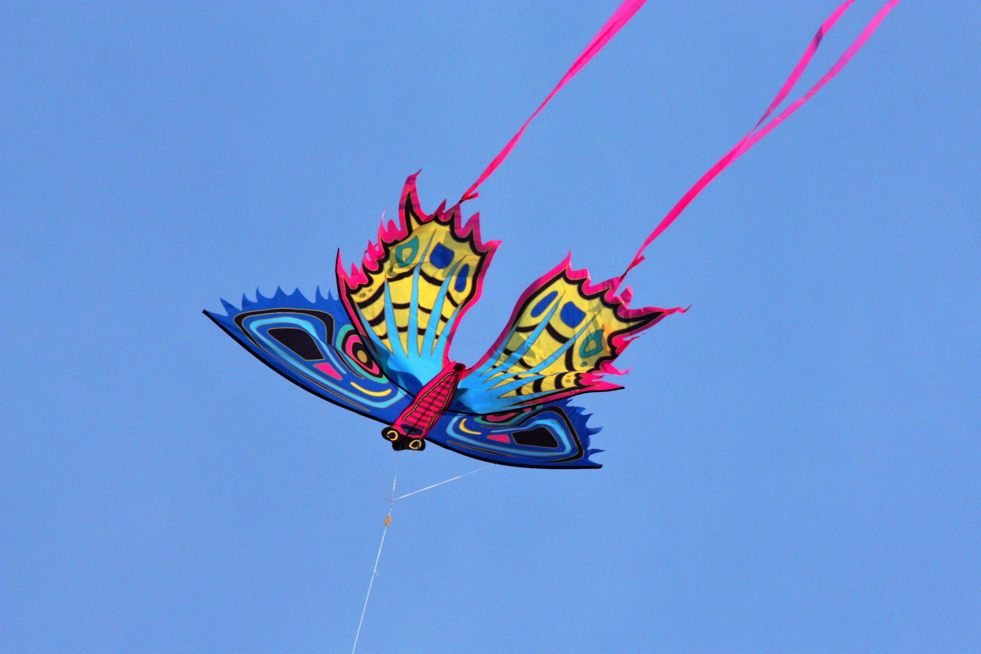 kite sport fun free photo