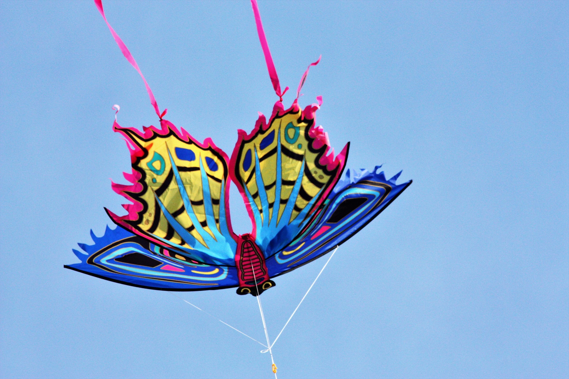 kite sport fun free photo
