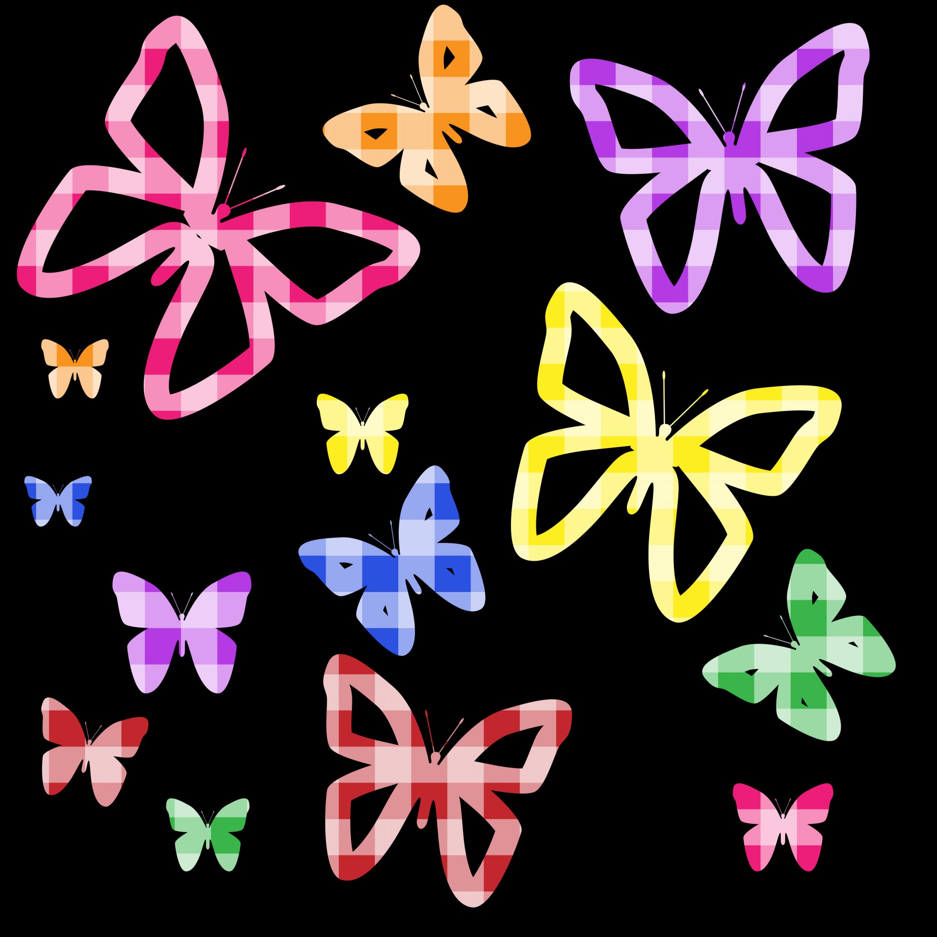 butterfly butterflies colorful free photo