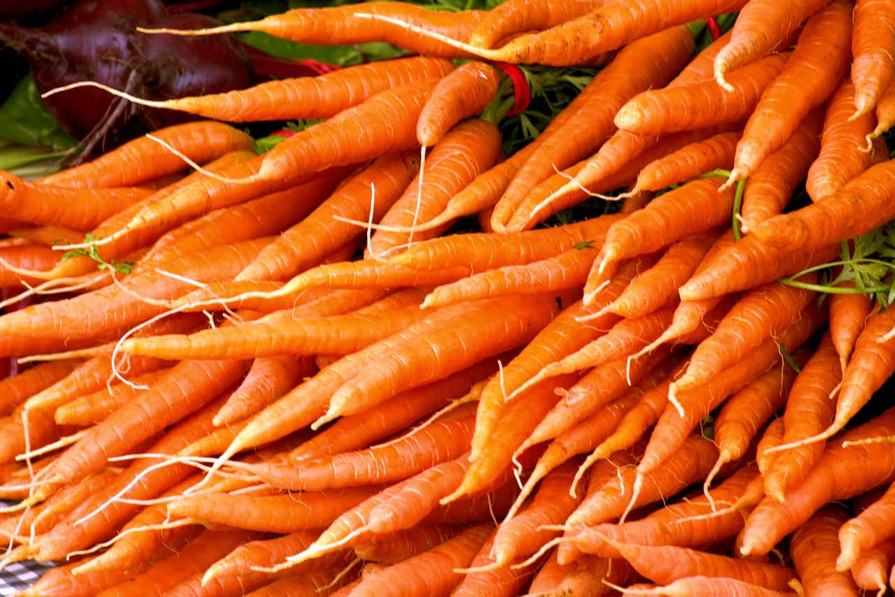 colorful carrots  carrots  vitamins free photo