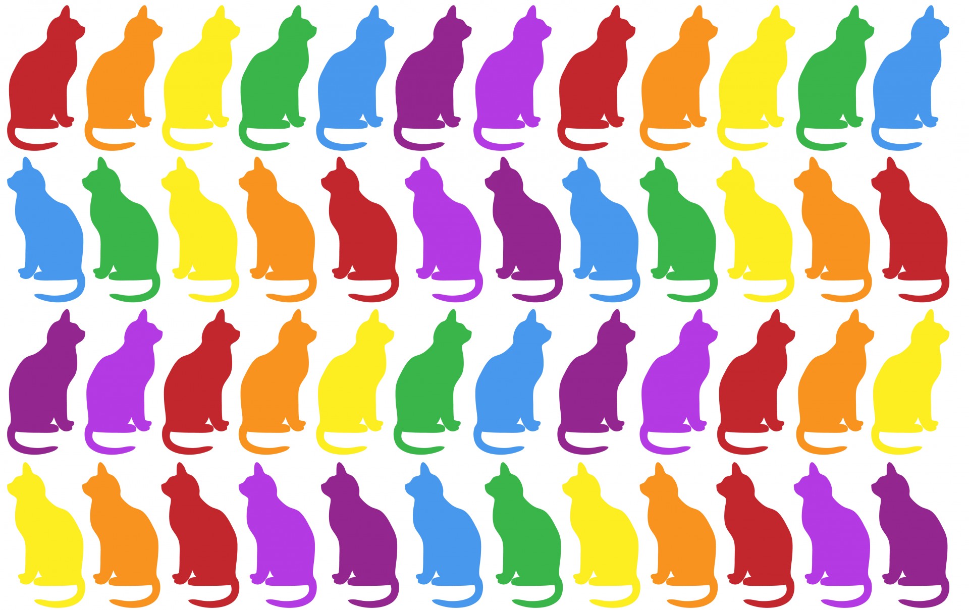 cat cats colorful free photo