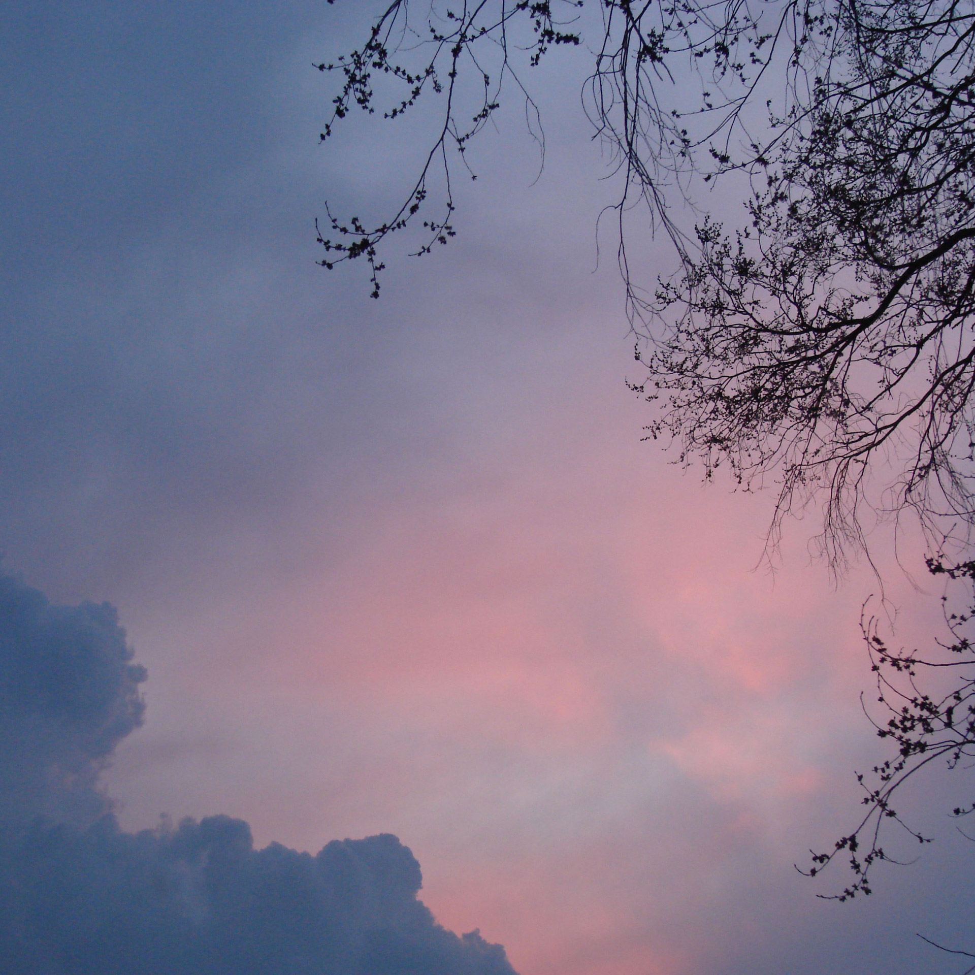 clouds pink blue free photo