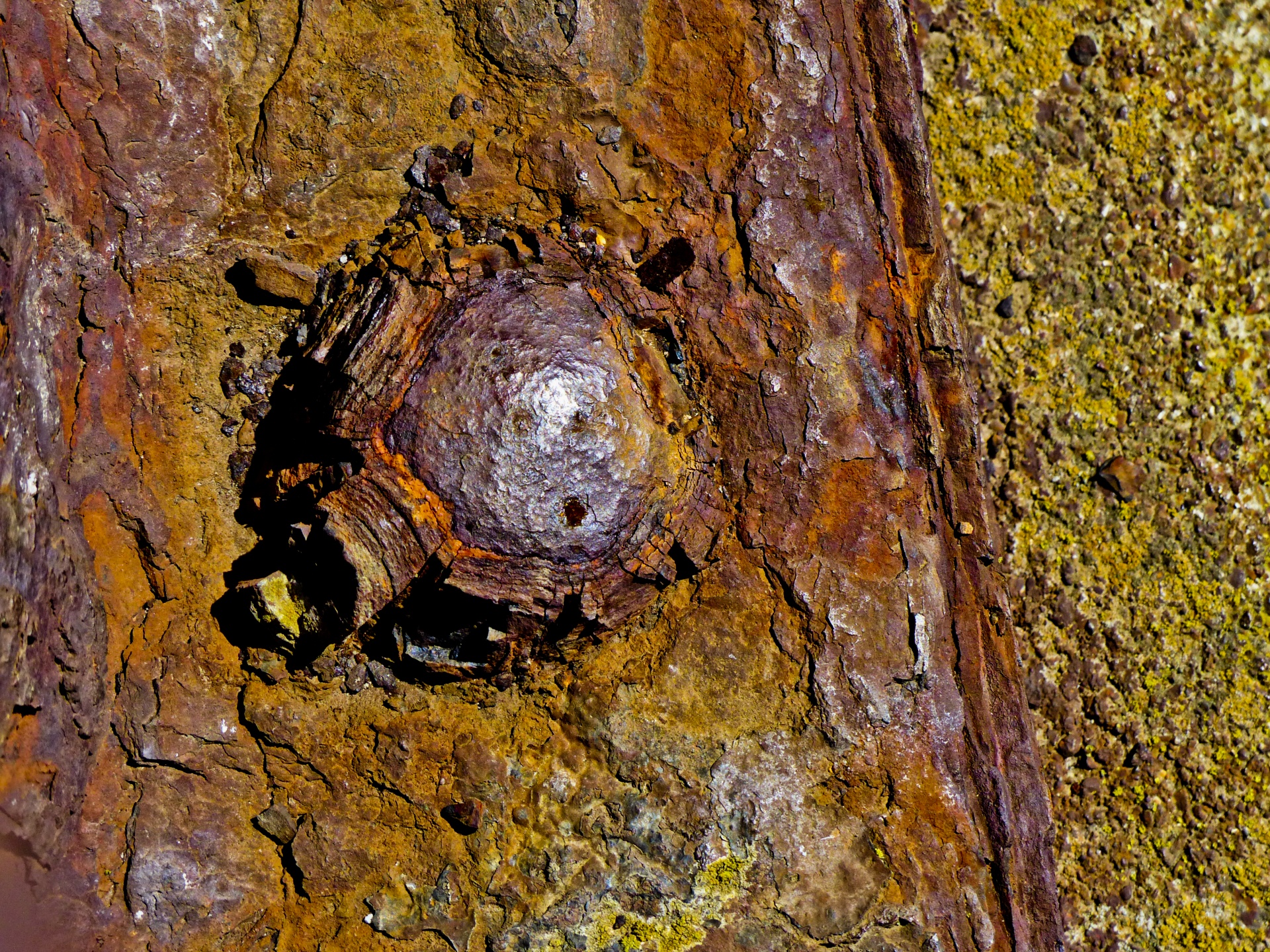 metal rust rusting orange free photo