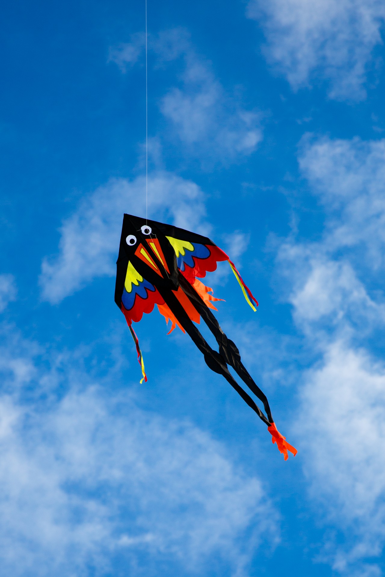 sky kite blue free photo
