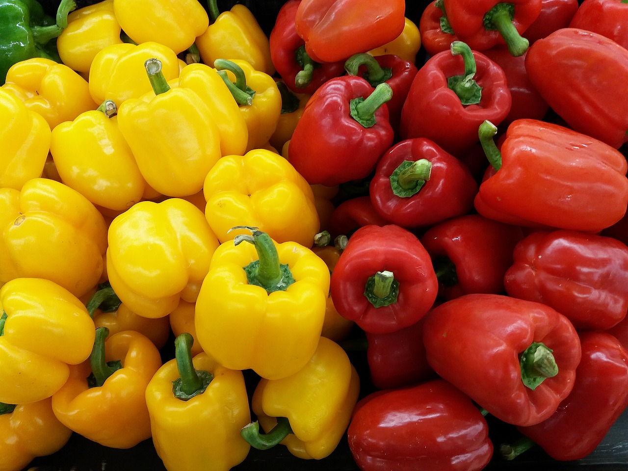 colorful peppers bell peppers yellow free photo