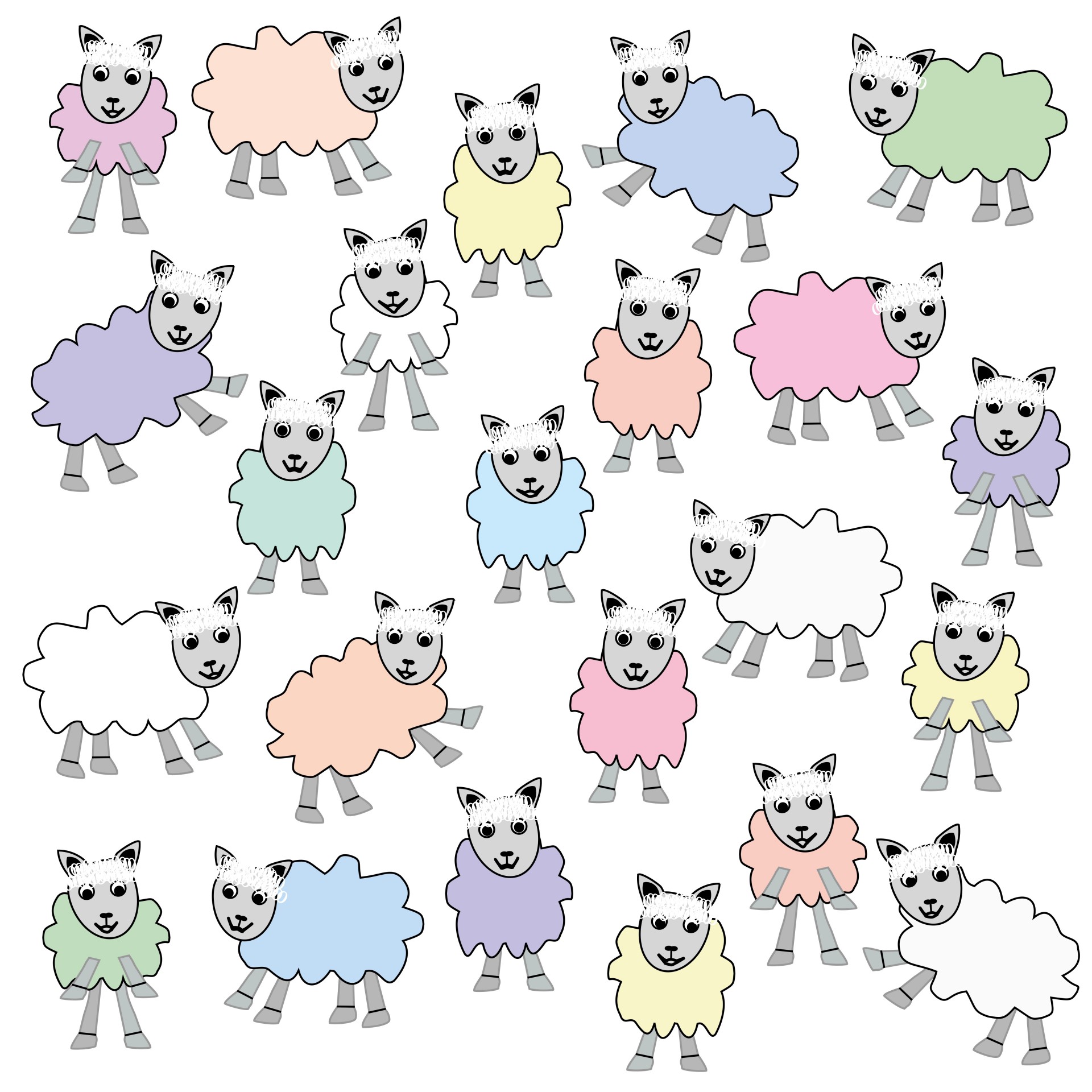 sheep lamb color free photo