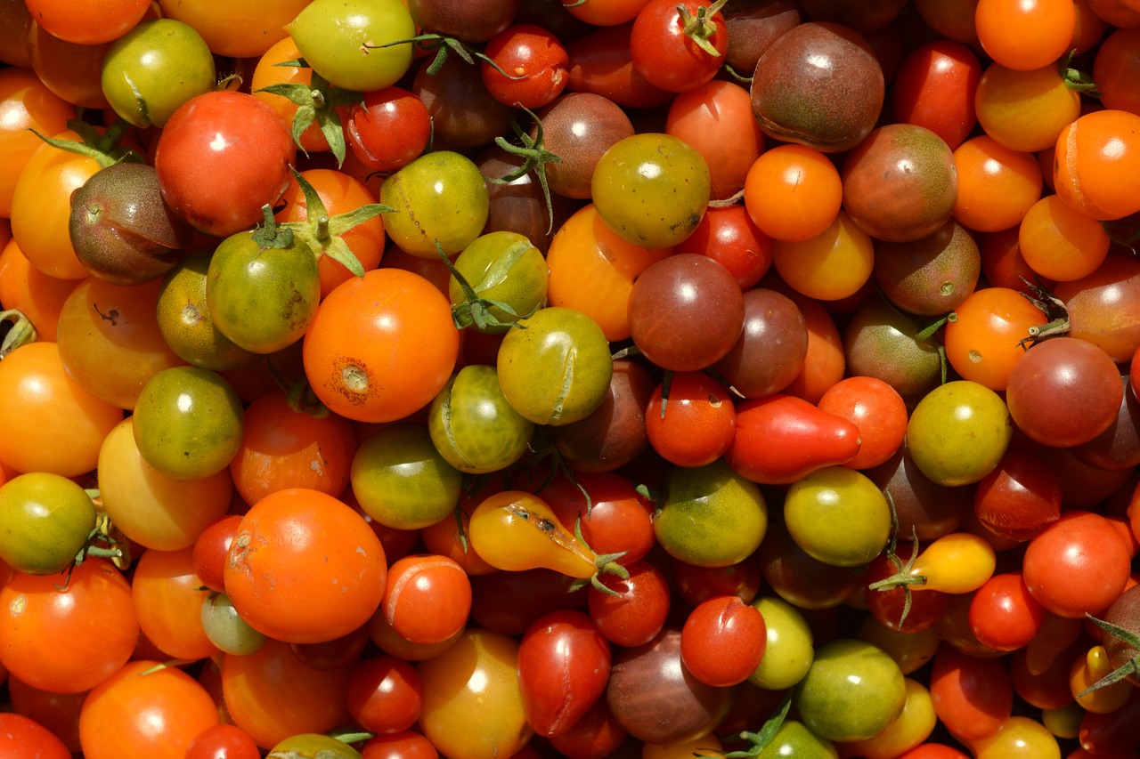 colors tomatoes vegetables free photo