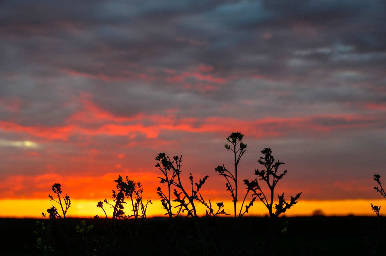 colors sky sunset free photo