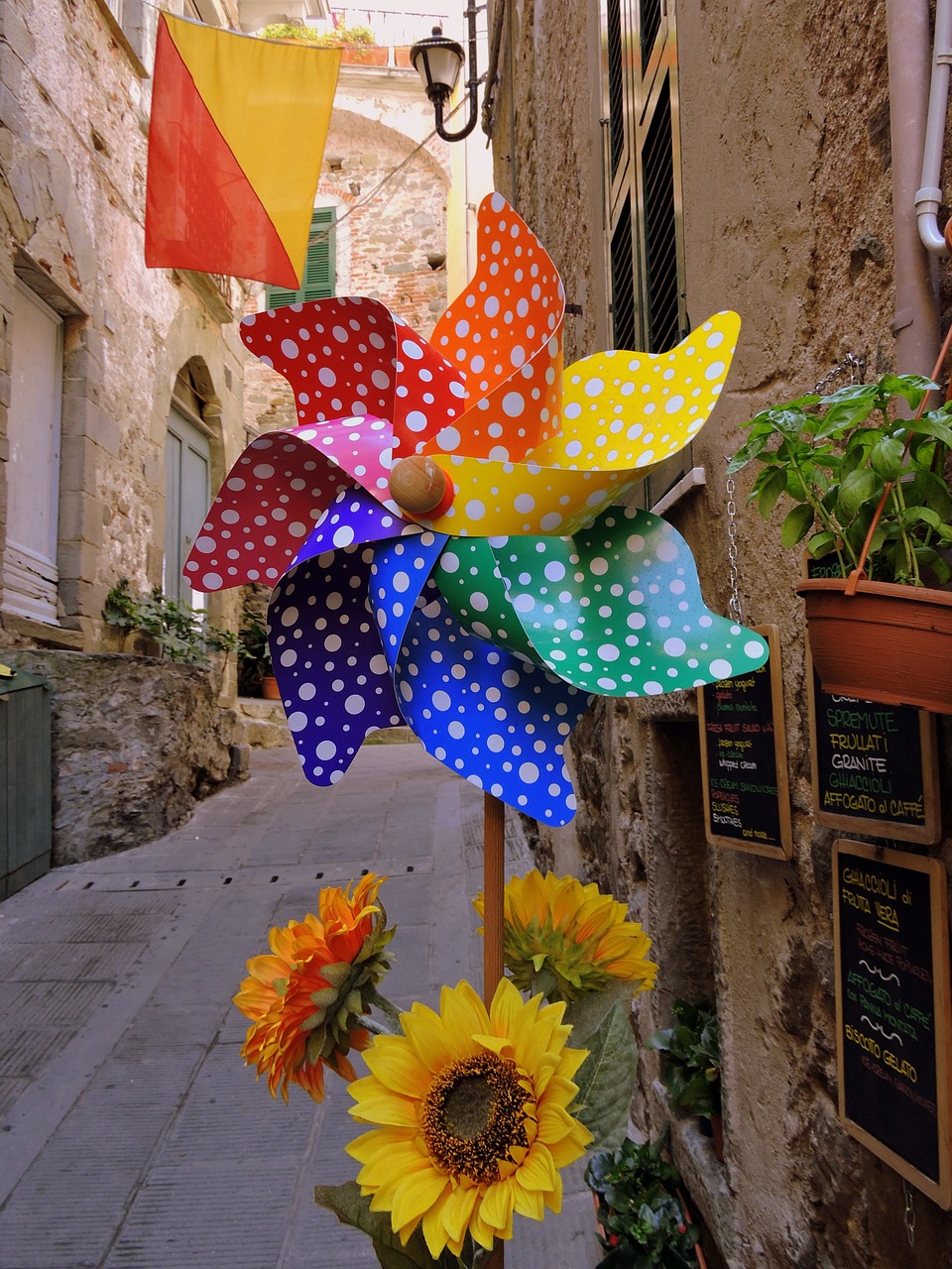 colors pinwheel sunflowers free photo