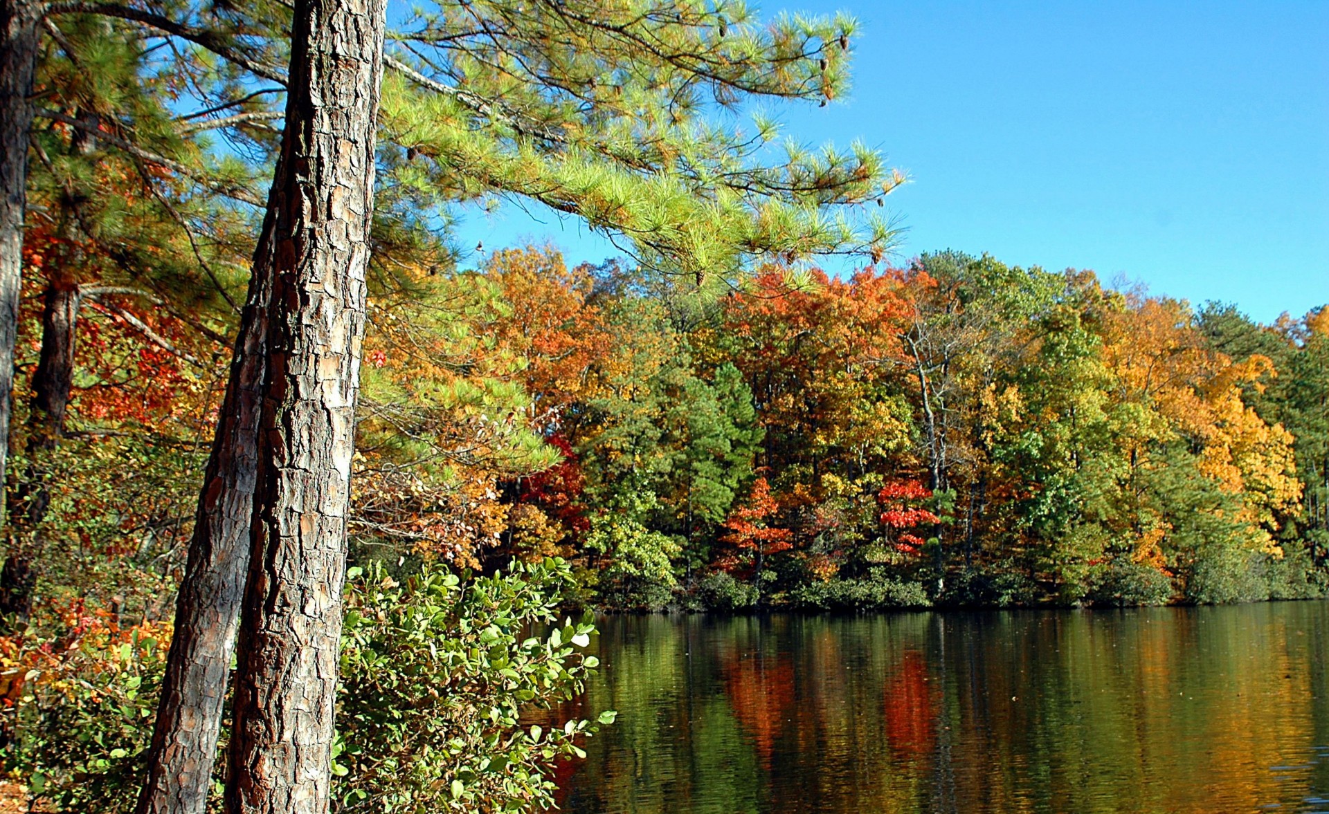 autumn colors lake free photo