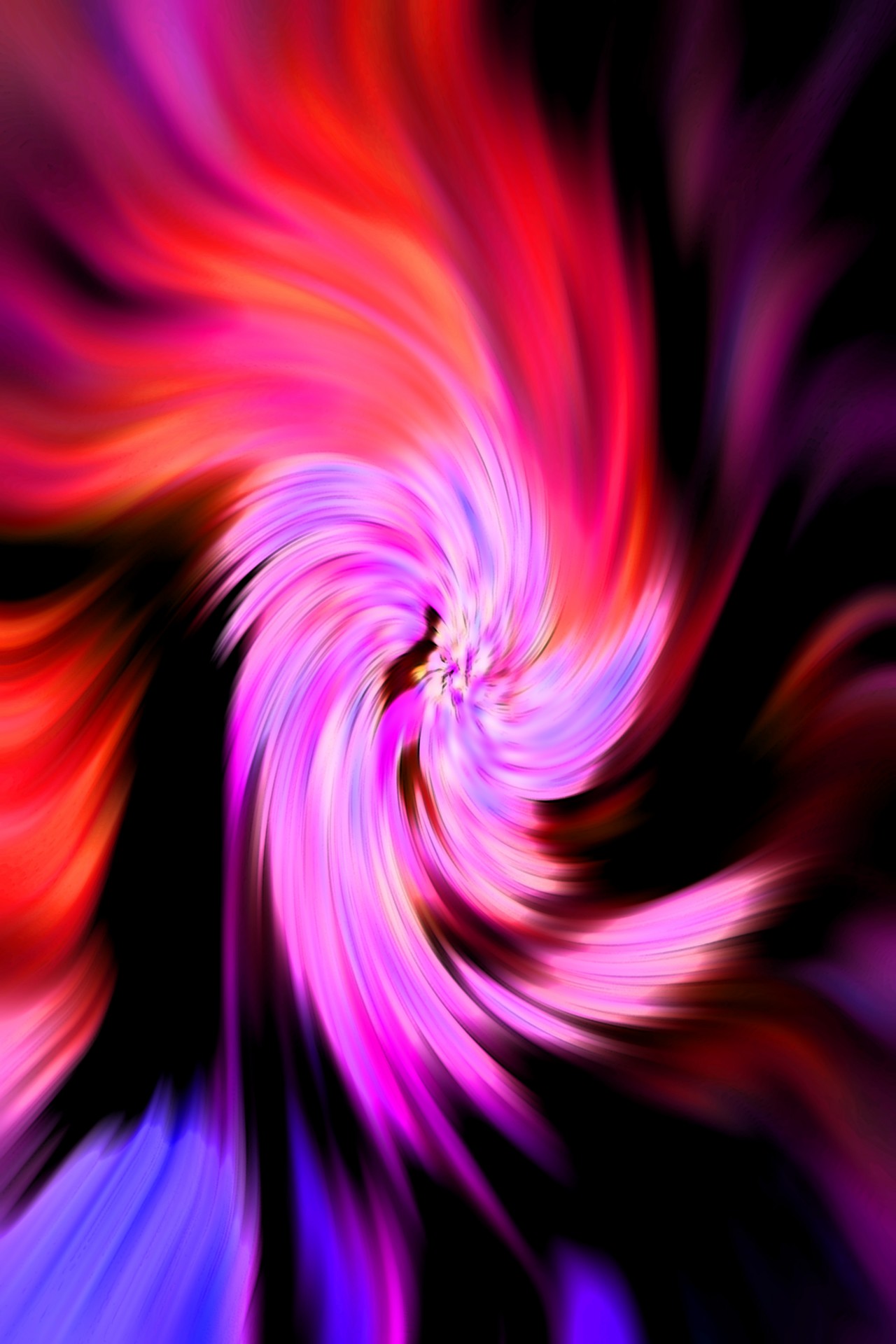 swirl pinks black free photo