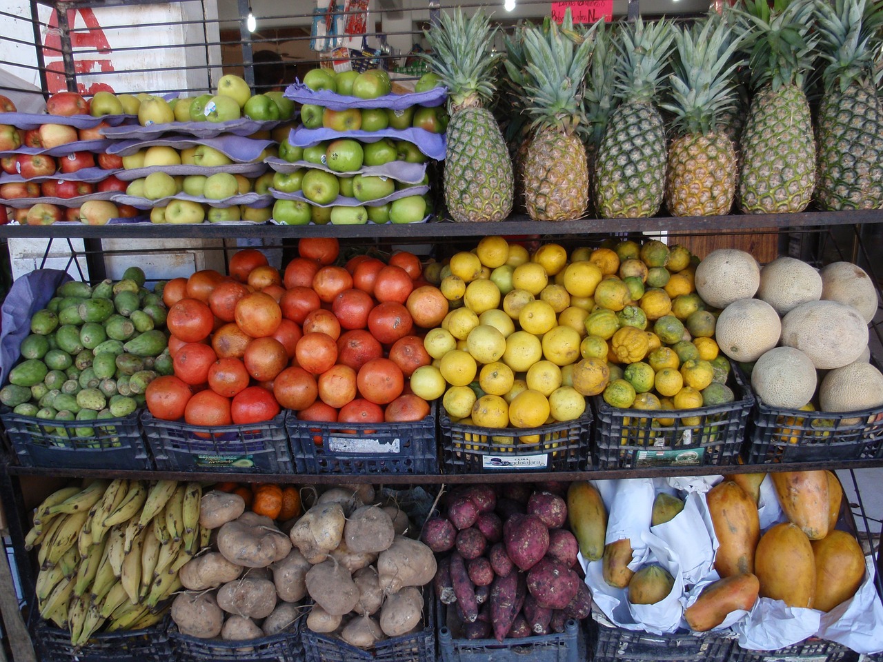 colourful tropical fruit on the shelves free photo