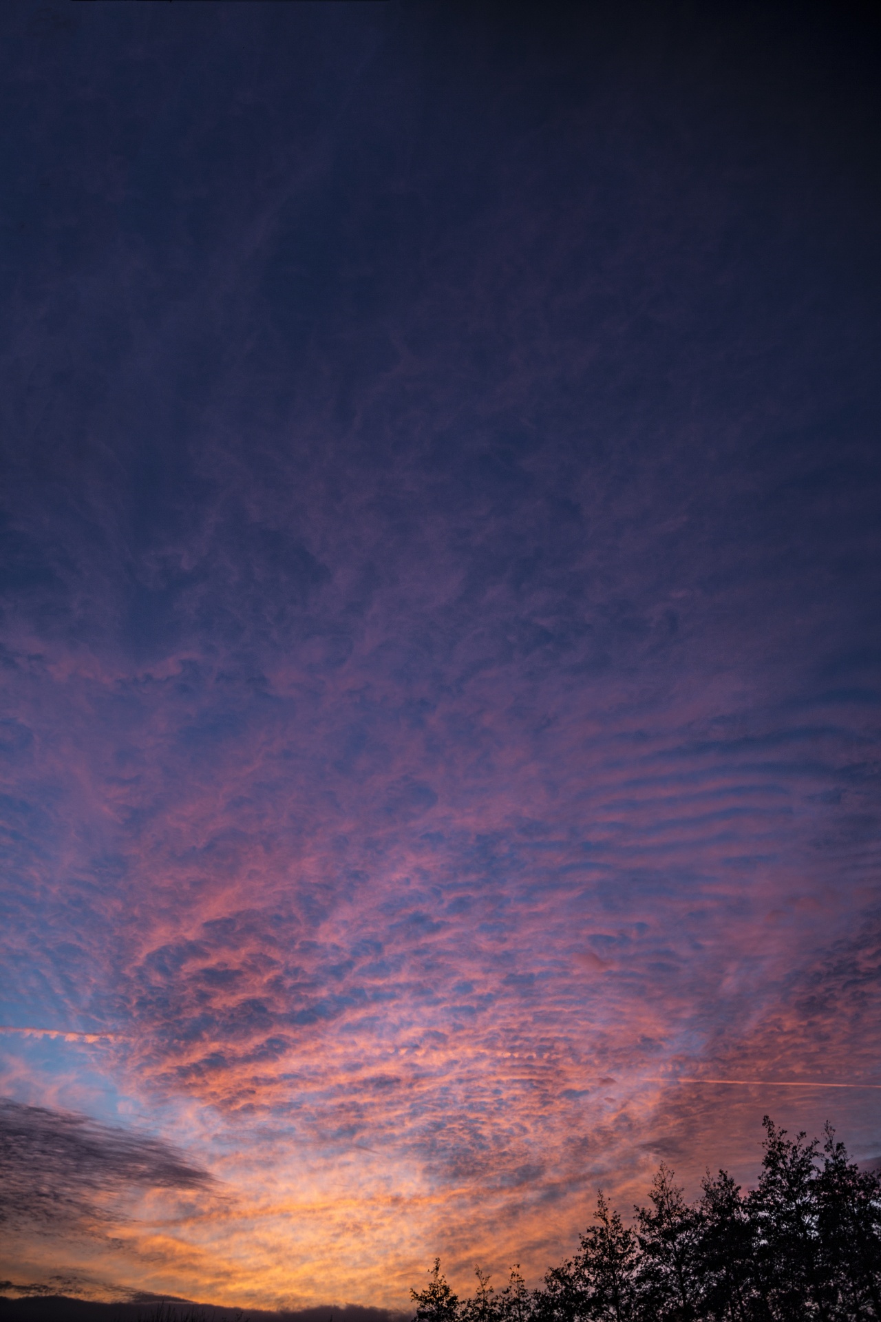 cloudscape morning cloud - sky free photo