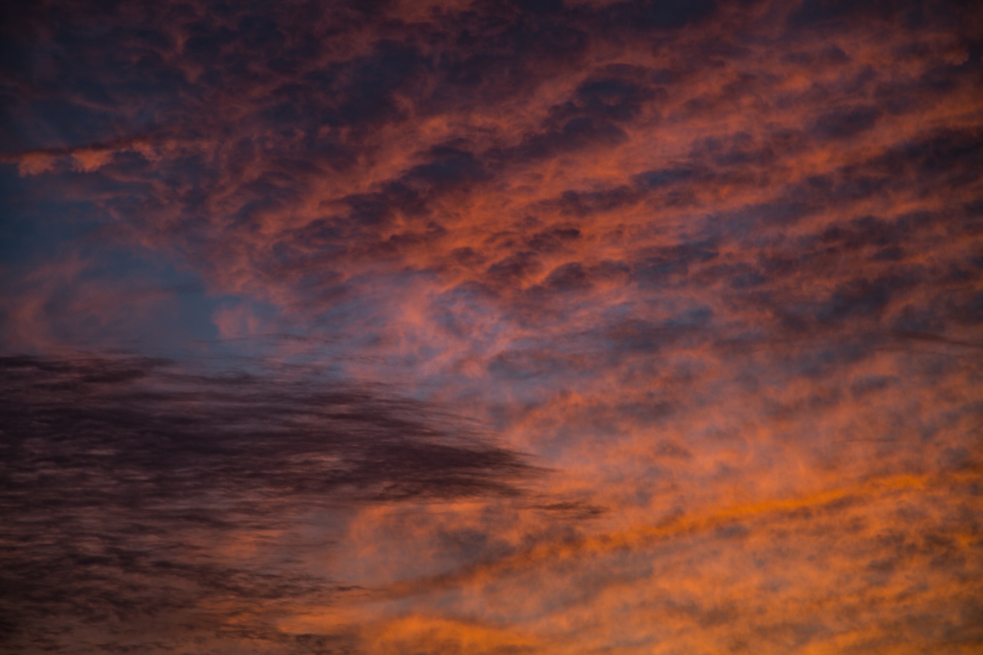 cloudscape morning cloud - sky free photo