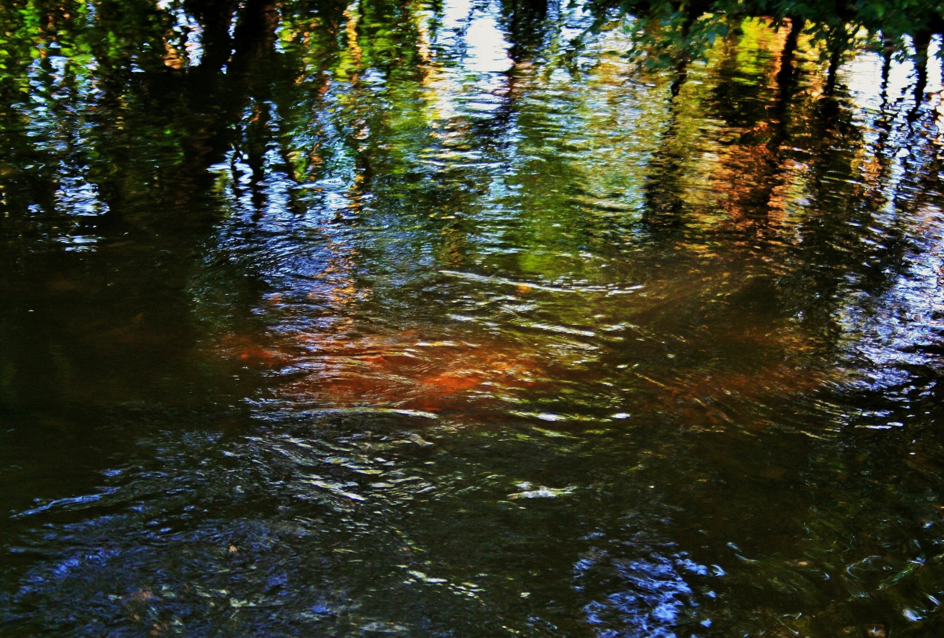 stream water reflections free photo
