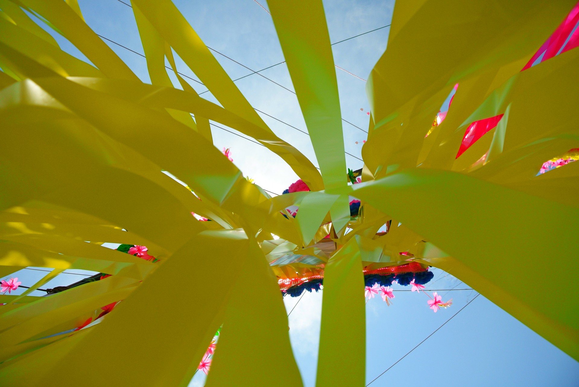 festival tanabata japan free photo