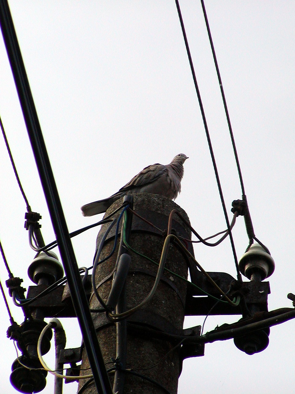 column wire electricity free photo