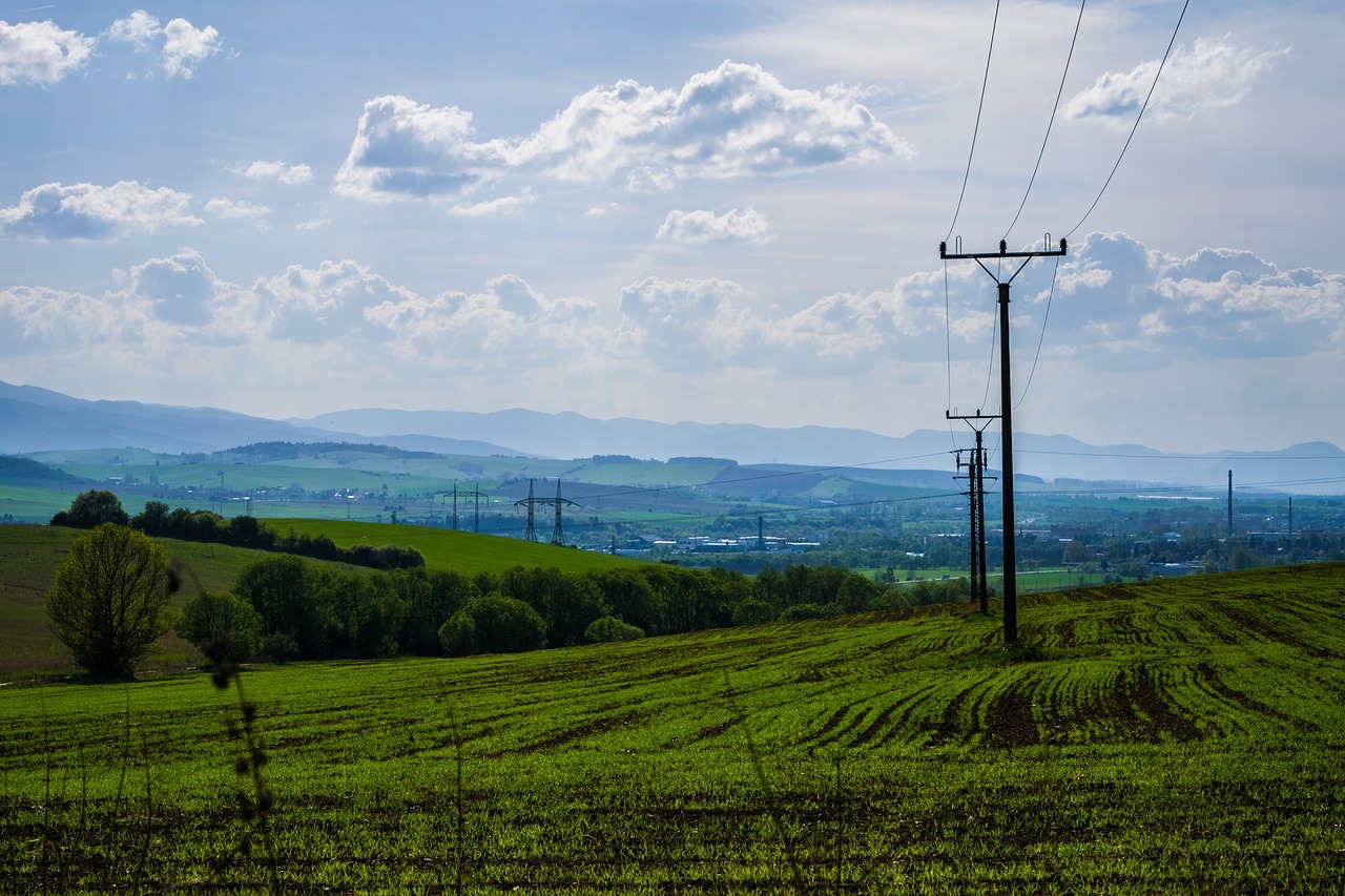 columns  meadow  view free photo