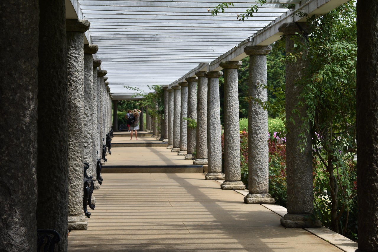 columns  walkway  pathway free photo