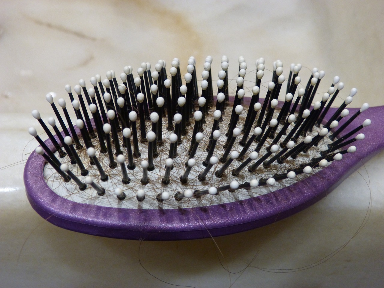 comb long hairs brush free photo