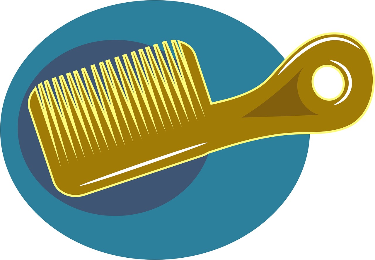 comb brush hygiene free photo