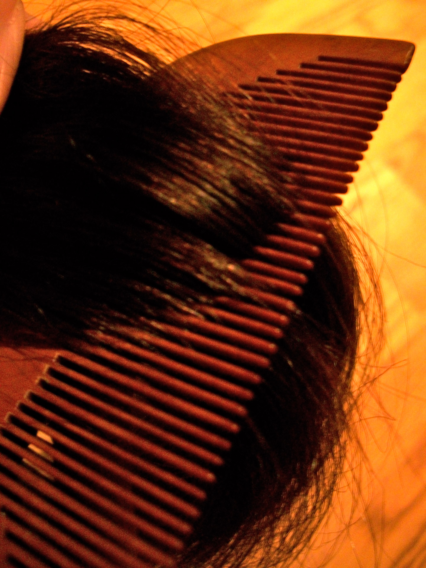 hair long comb free photo