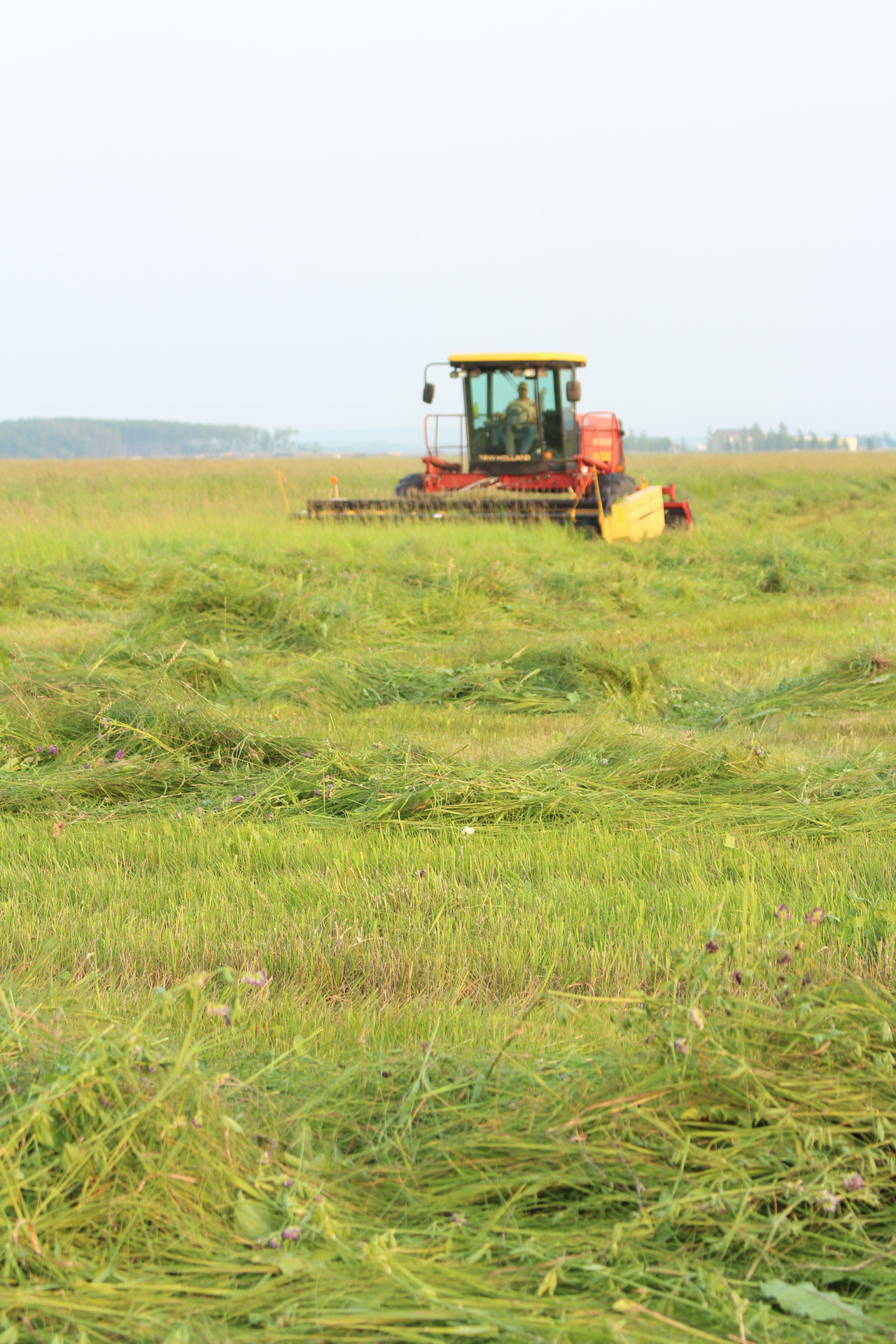 combine harvest farm free photo