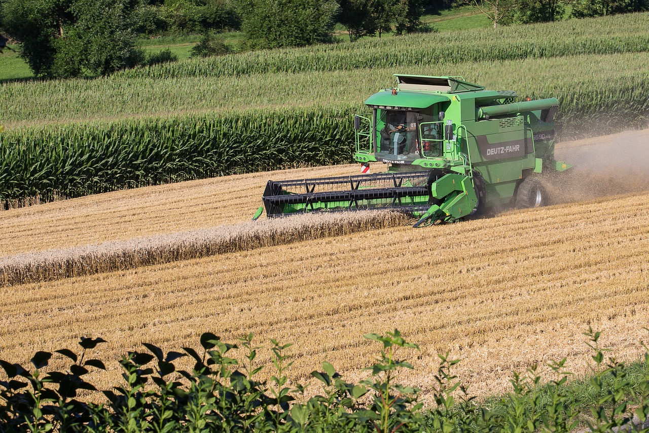 combine harvester harvest harvester free photo