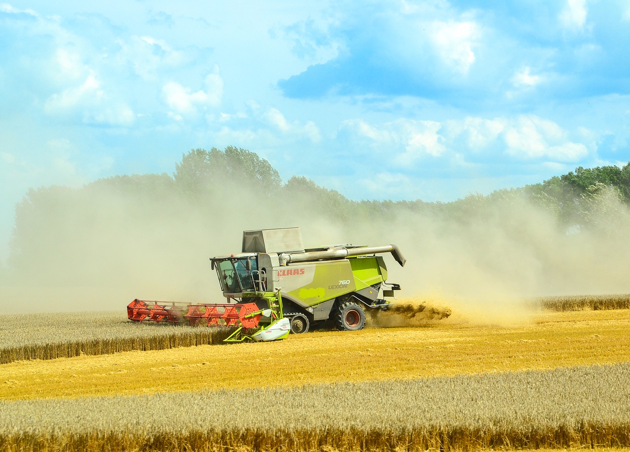 combine harvester agriculture harvest free photo