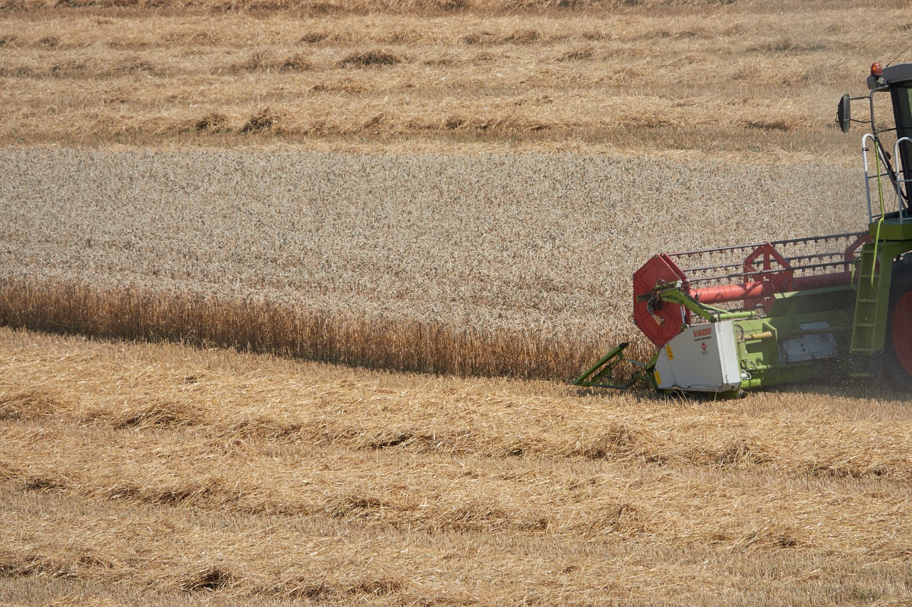 combine harvester  agriculture  harvest free photo