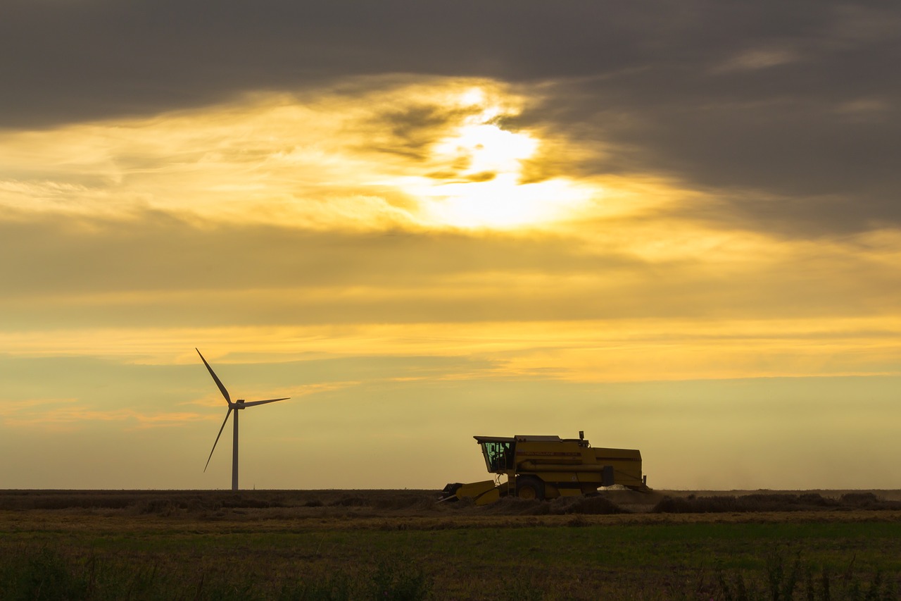 combine harvester  pinwheel  evening free photo