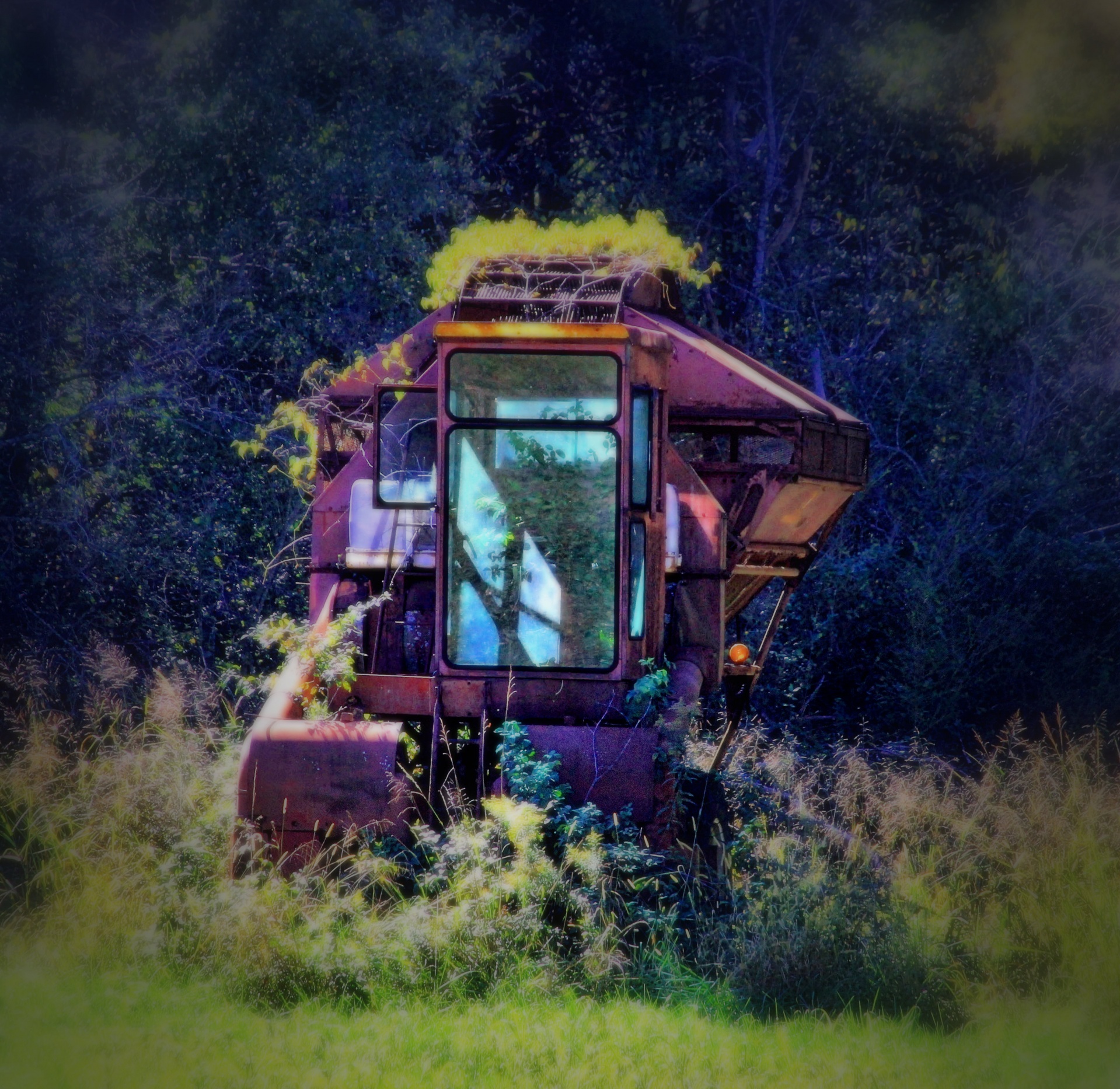 farm equipment harvester combine free photo