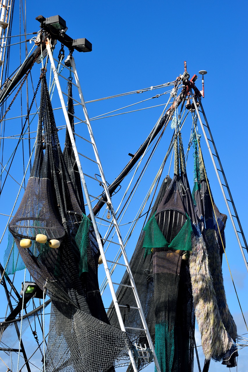 commercial fishing nets shrimp nets fish free photo