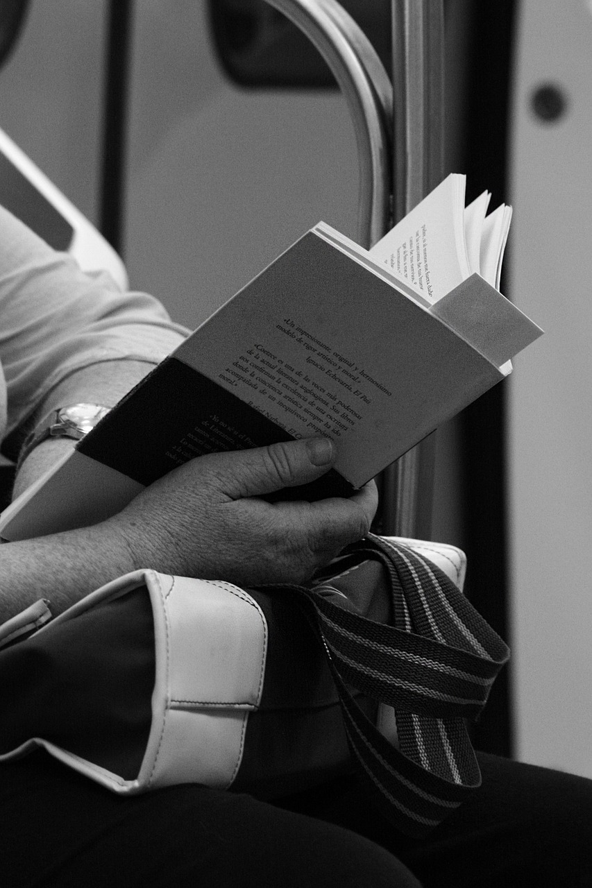 commute passenger reading free photo