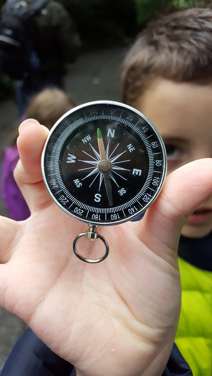 compass  boy  macro free photo