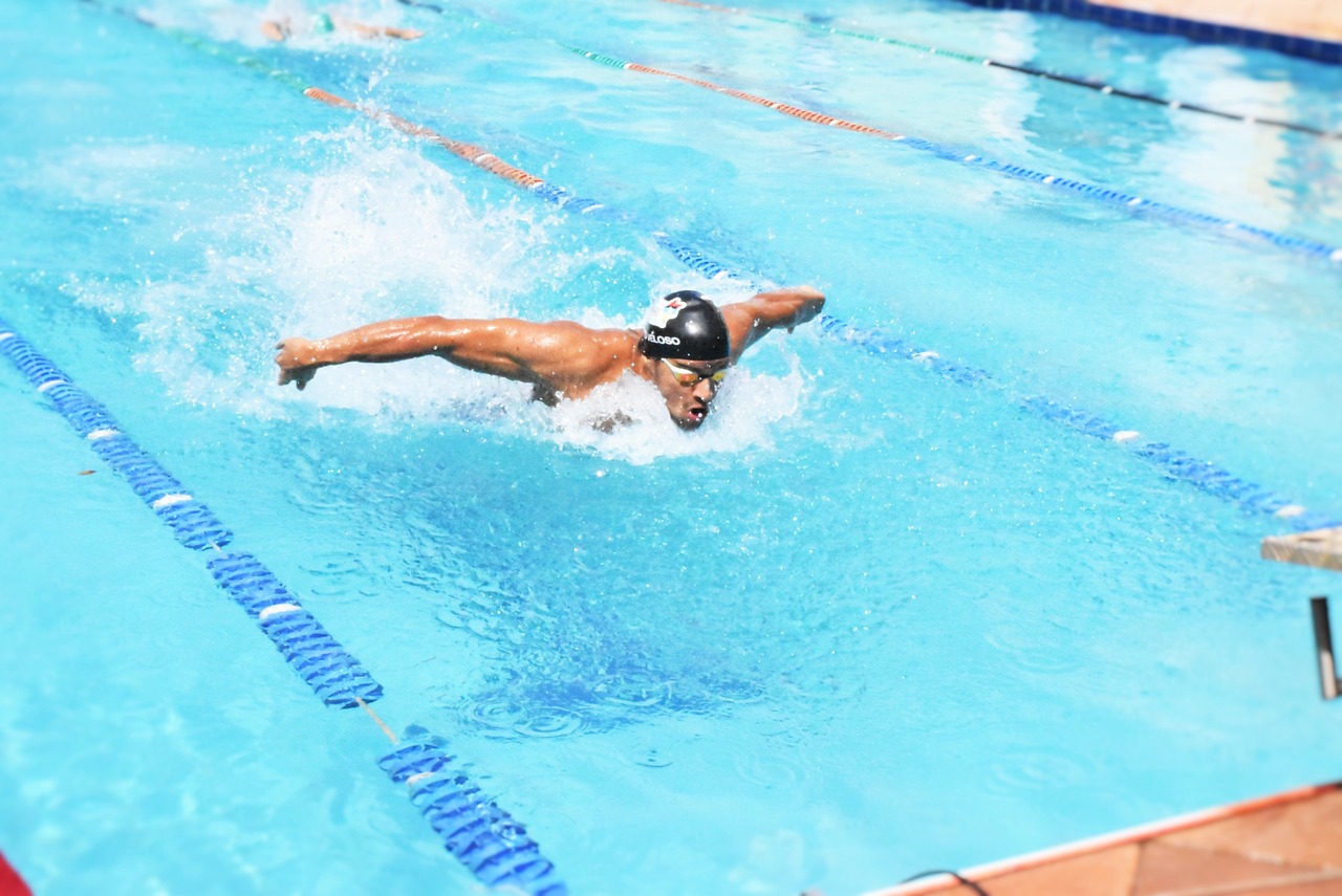 competition swimming competing free photo