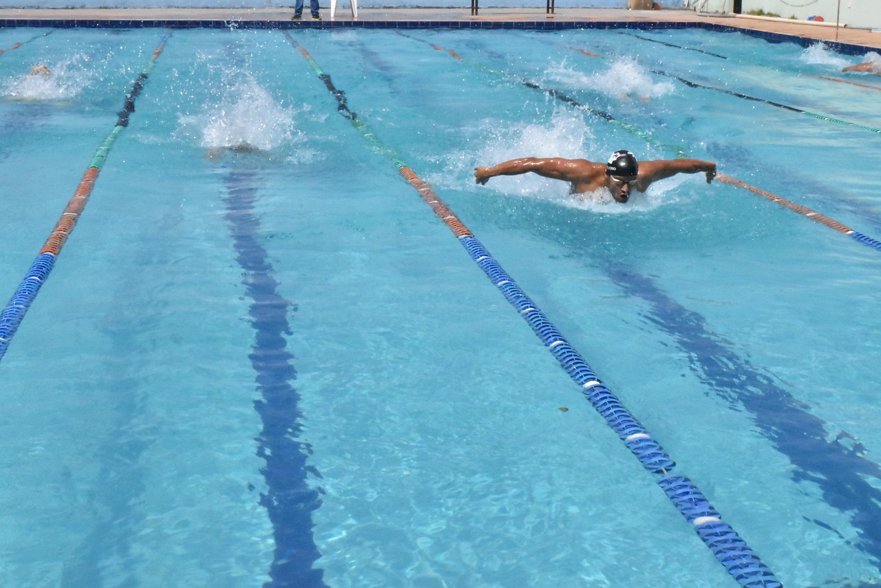 competition swimming competing free photo