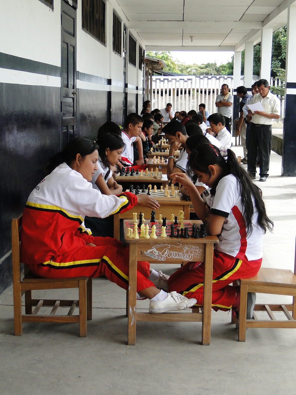 competition sports chess free photo