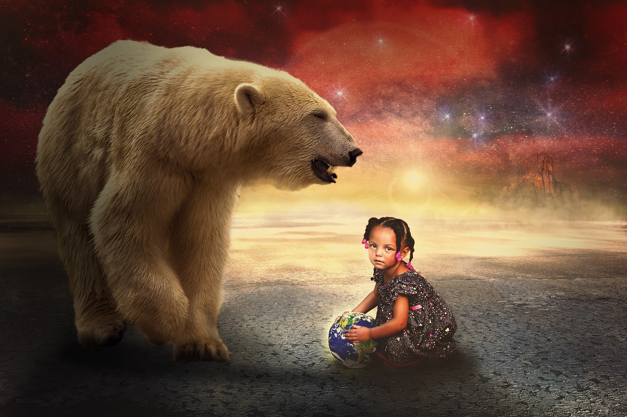 composing bear light star free photo