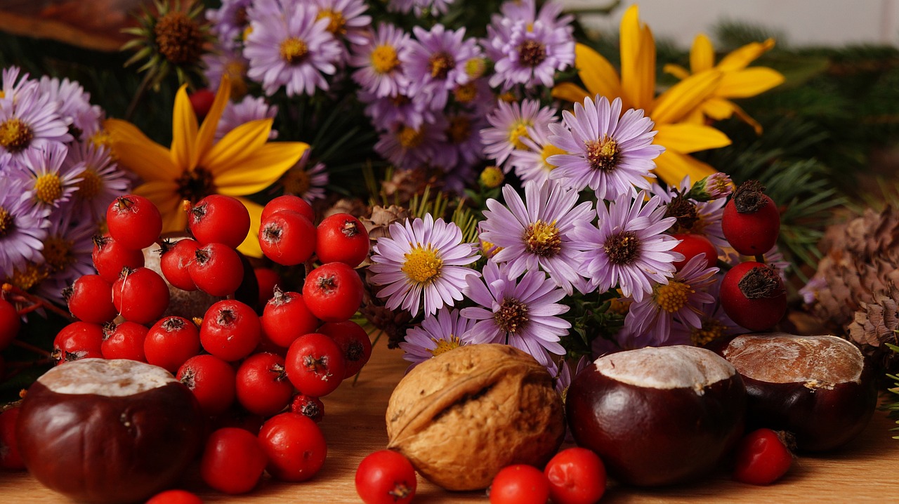 composition plants flowers free photo