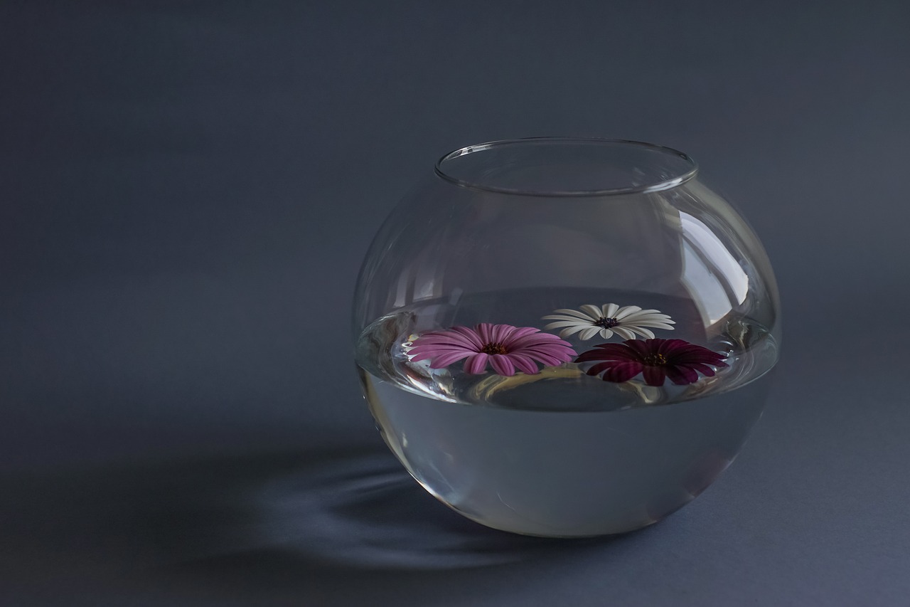 composition flowers a glass vessel free photo