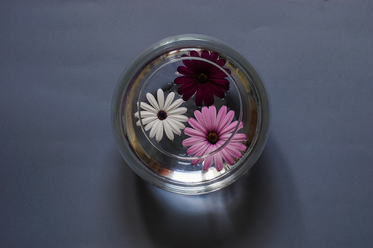 composition flowers a glass vessel free photo