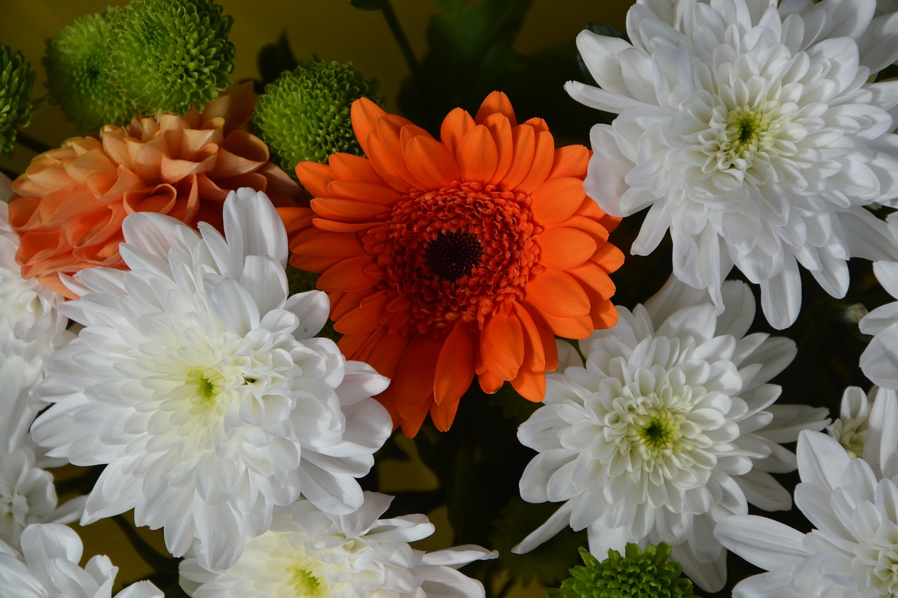 composition floral white flowers orange flower offer decoration free photo