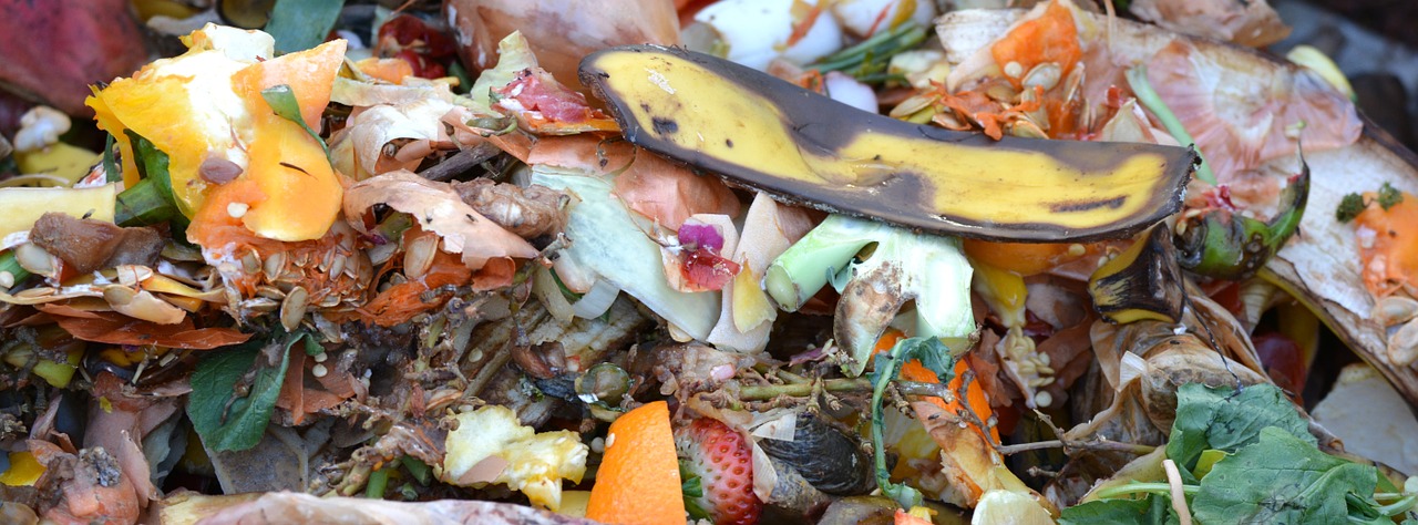 compost fruit and vegetable waste composting free photo