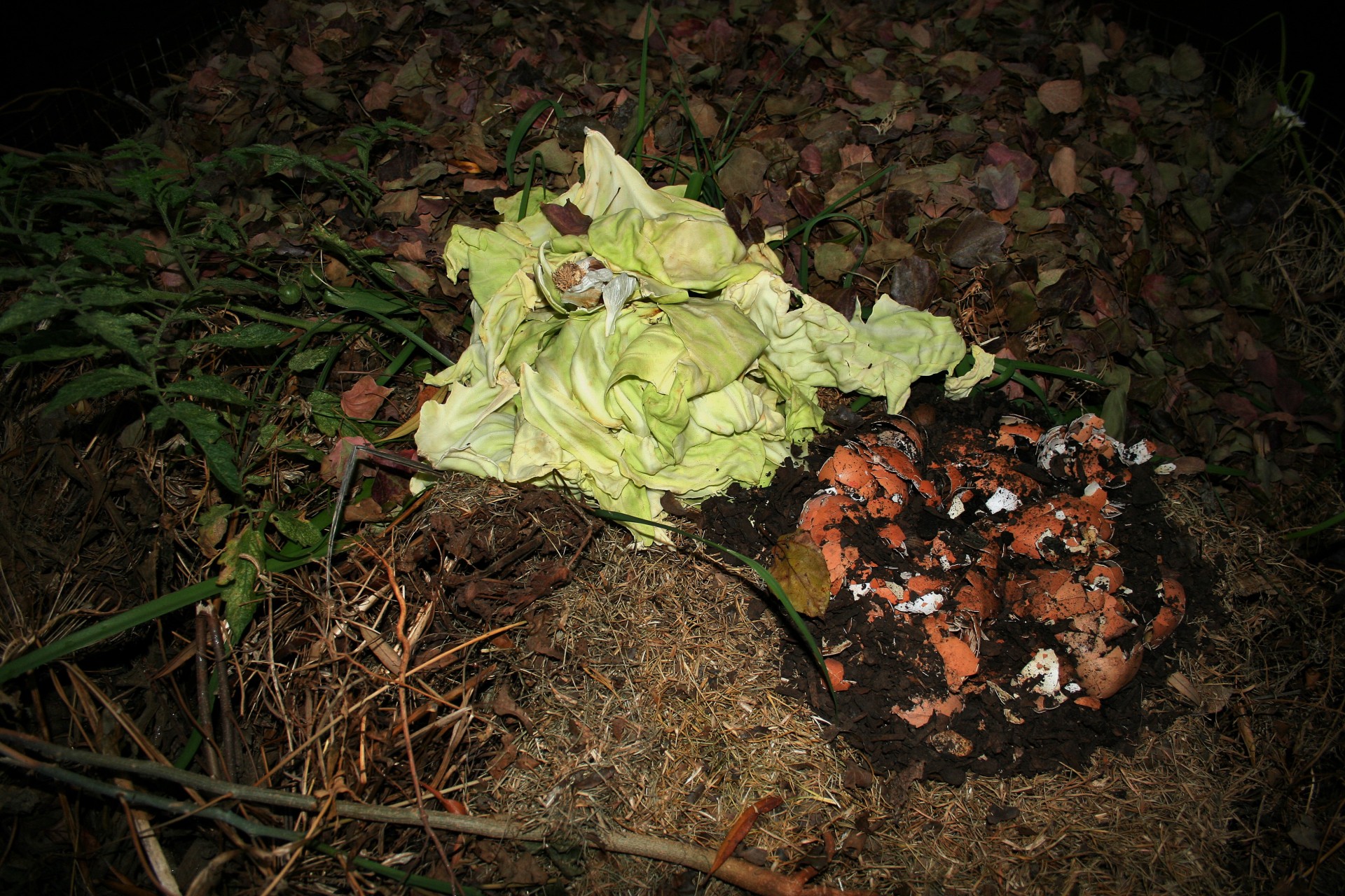 compost waste kitchen free photo