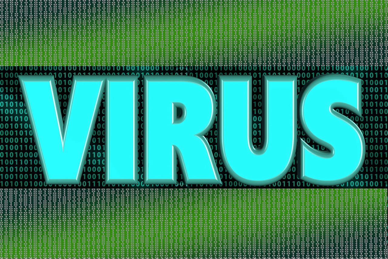 computer virus trojan free photo