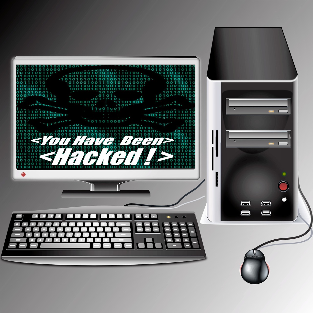 computer virus hacking free photo