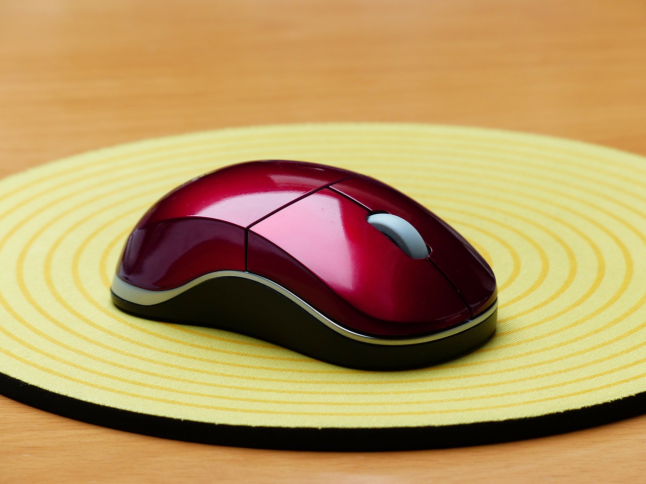 computer mouse computer input device free photo