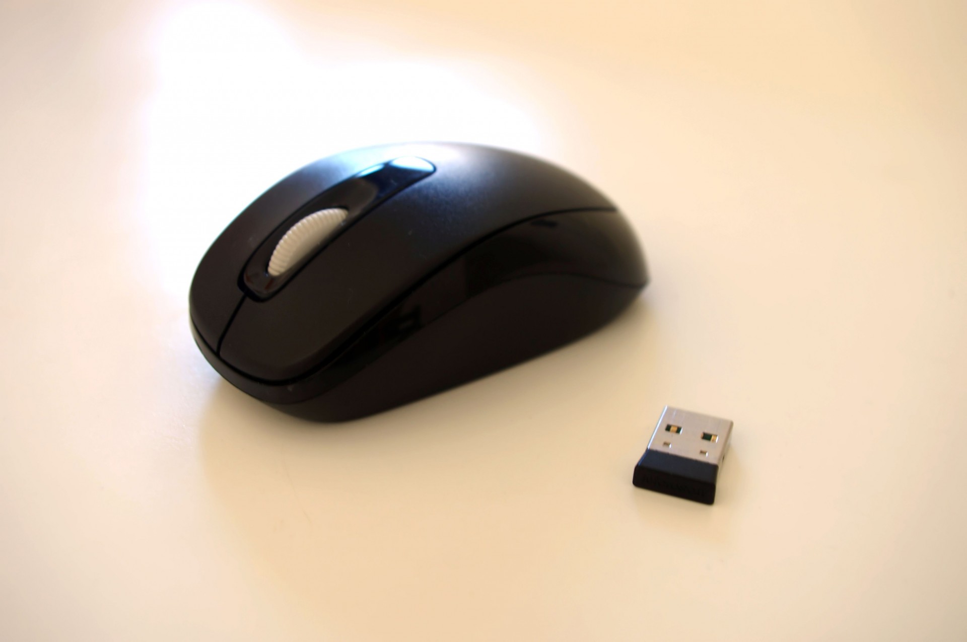 Компьютерная мышь фото для презентации
